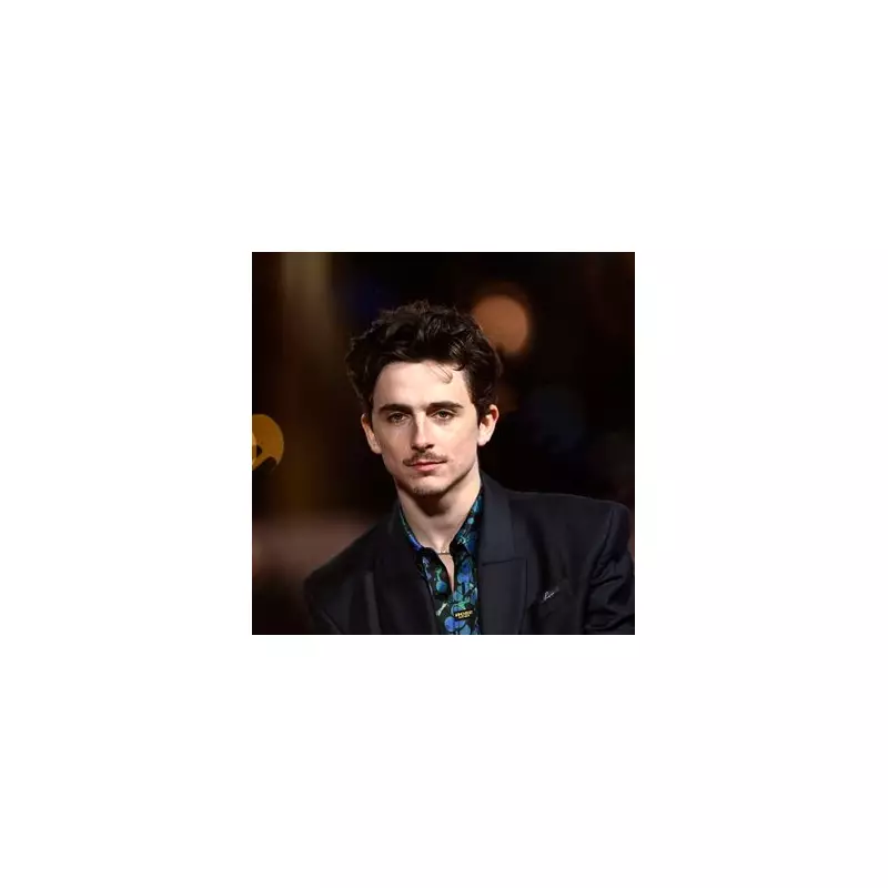 Timothée Chalamet's 10-Word Rap Shout-Out to Wrexham & Ryan Reynolds