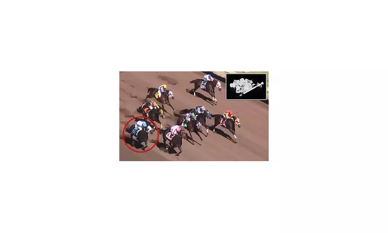 Top US Trainer Suspended After Horse Tests Positive for Meth in New Mexico Race