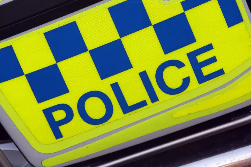 Two Boys, 7 & 9, Airlifted After Serious Dorset Crash Days Before Christmas