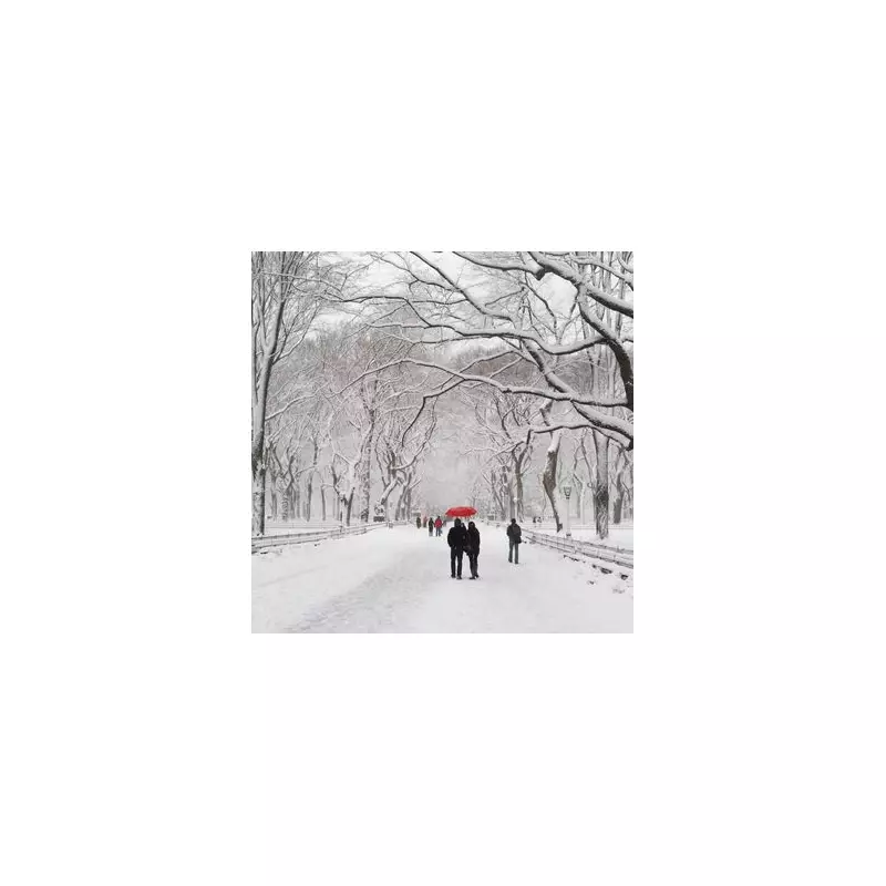 UK Braces for 30cm Snow & Gale Force Winds as Met Office Issues Severe Warning