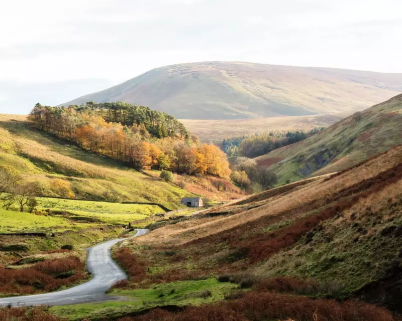 UK Confirms 2025 as Hottest Year on Record, Shattering Previous High
