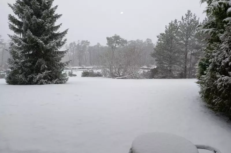 UK New Year Snow: Met Office Issues Warning for Northern Scotland