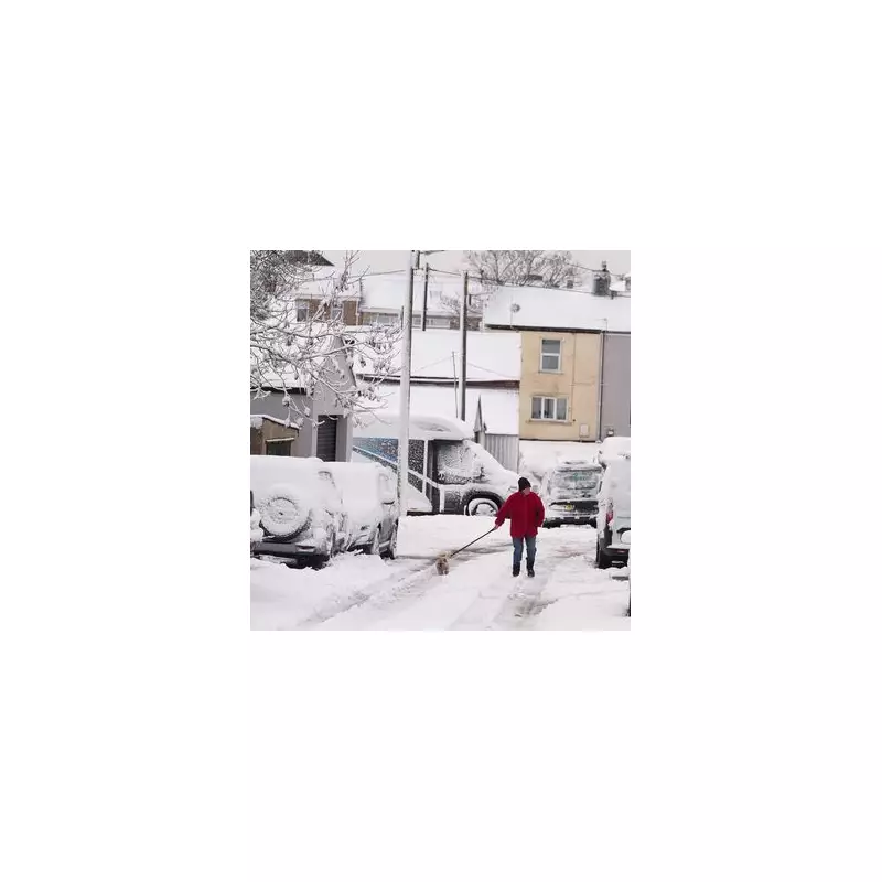 UK New Year's Eve Snow Forecast: Blizzards and -6C Wind Chill Predicted