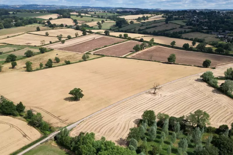 UK Set for Hottest Year on Record in 2025, Met Office Data Reveals