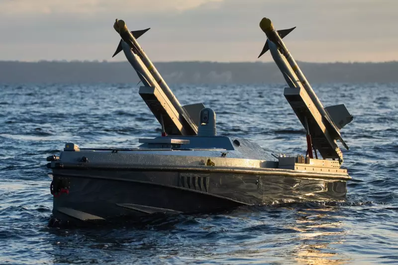 Ukraine's Sea Drone Commander Reveals Plans for More Complex Attacks in 2026