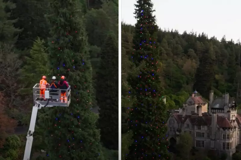 UK's Cragside House Breaks World Record with 44.7m Christmas Tree