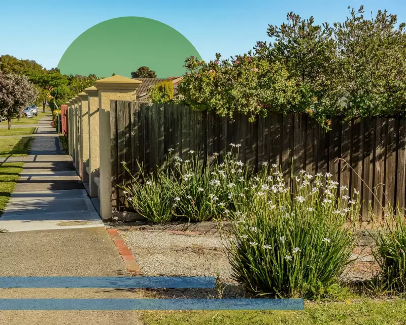 Urban Greening: How Small Native Plantings Can Save 400 Threatened Species