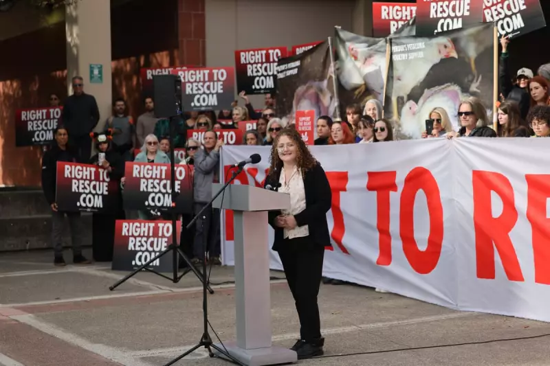 US Student Sentenced to 90 Days Jail for 'Rescuing' Chickens from Farm