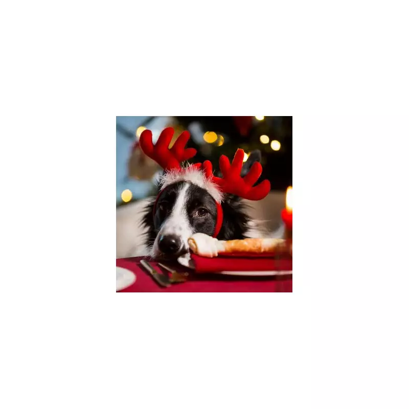 Vet Nurse's Urgent Christmas Warning: 7 Festive Foods Toxic to Pets