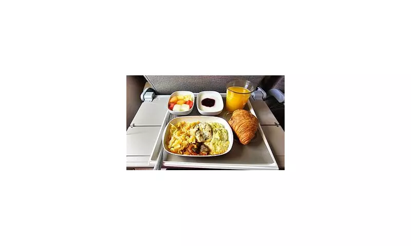 Why Airline Food Gets a Bad Rap: The Science Behind In-Flight Dining