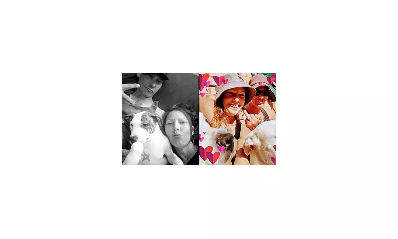 Whyalla Pit Bull-Mastiff Euthanised After Fatal Mauling of Owner, 39