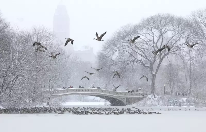 Winter Storm Chaos: 15,000 Flights Axed as Snow Paralyzes New York and New Jersey