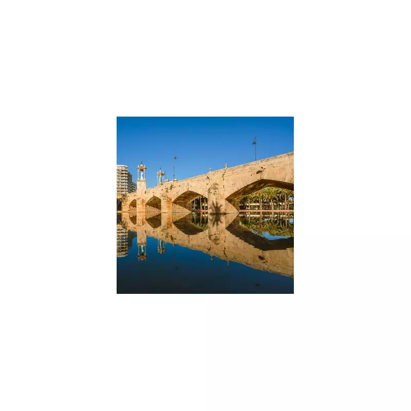 Wizz Air launches £40 flights to Valencia, the 'world's best place to live'