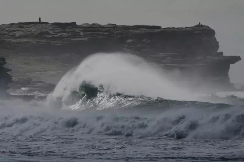 Woman, 25, dies after being swept out to sea at Sydney's Maroubra Beach on New Year's Day