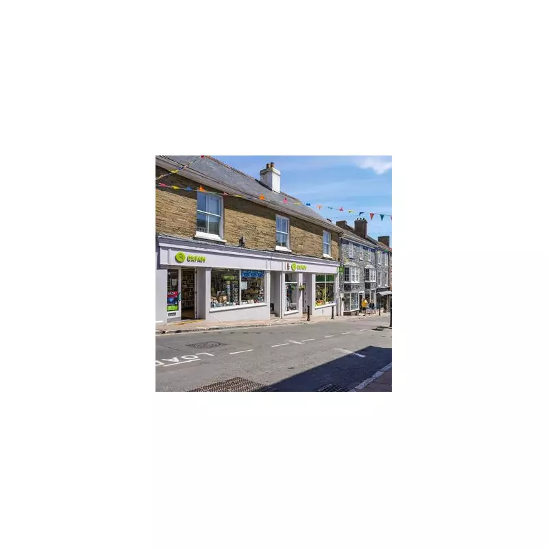 Woman's £10 Charity Shop Gamble Nets £18,756 From Rare Nintendo Game