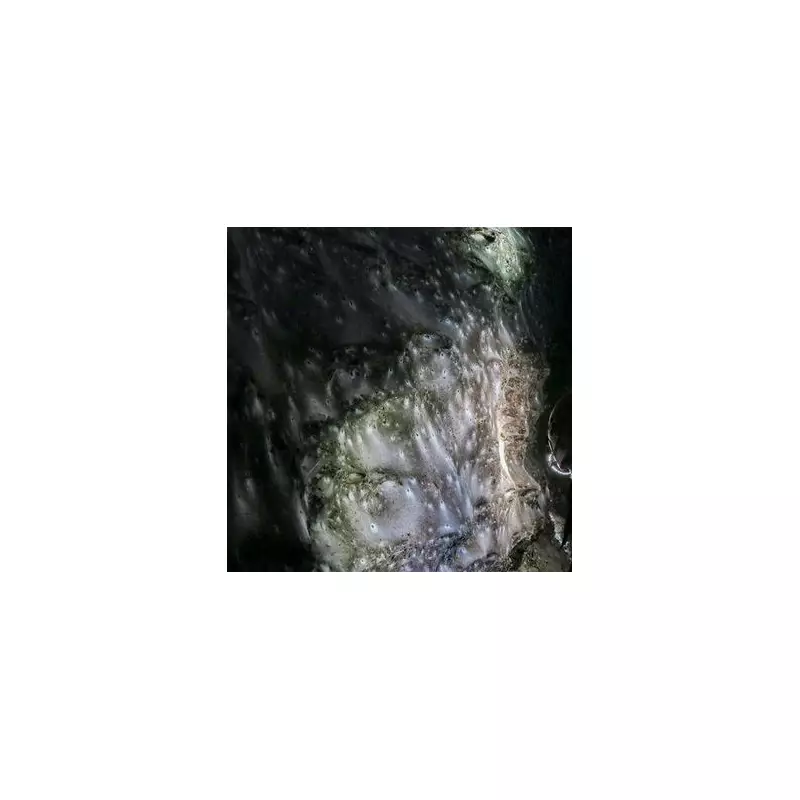 World's Largest Spider Web Discovered on Albania-Greece Border