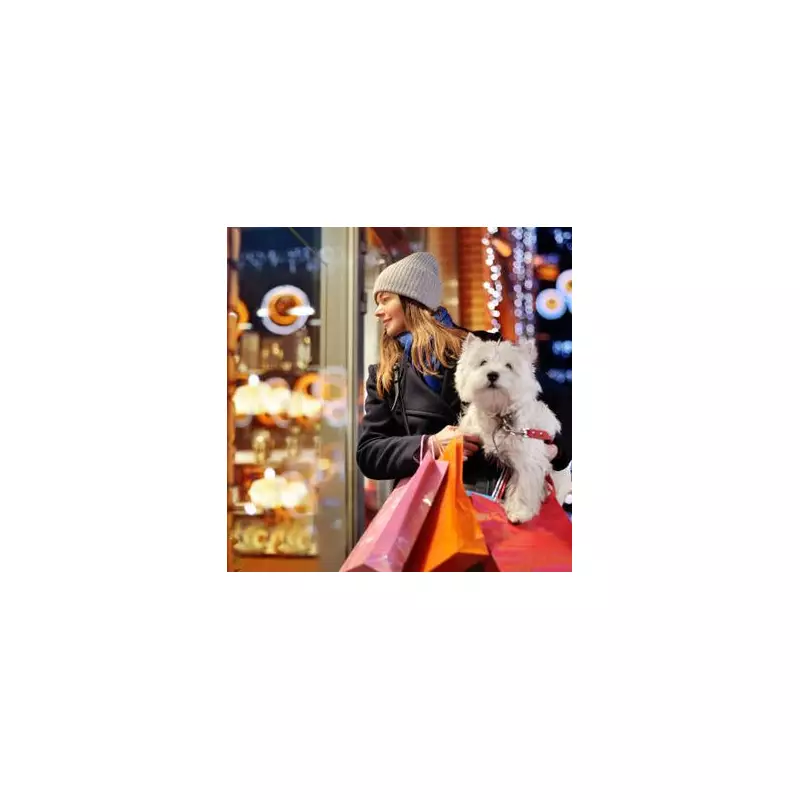 Your Christmas Shopping Rights: How to Fight Retailer Lies for a Refund