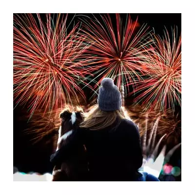 8 Bizarre New Year's Eve Traditions: From Burning Effigies to Animal Chats