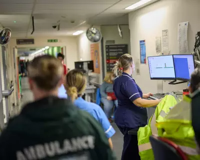 AI Tool Deployed in 50 NHS Trusts to Predict A&E Demand and Cut Winter Waiting Times