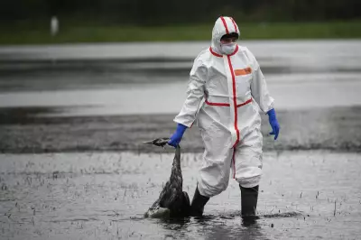 Bird Flu Pandemic Tipping Point: Just Two Days to Act, Scientists Warn