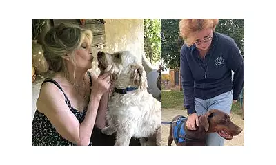 Brigitte Bardot Dies at 91: Final Posts Show Animal Activism & Legacy