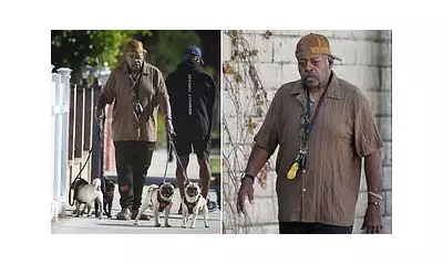 Die Hard star Reginald VelJohnson, 73, spotted on LA stroll amid Diddy scandal denial