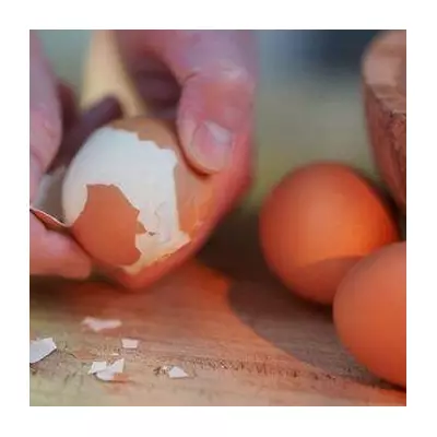 Egg Expert Reveals 1-Minute Hack for Peeling Boiled Eggs Perfectly