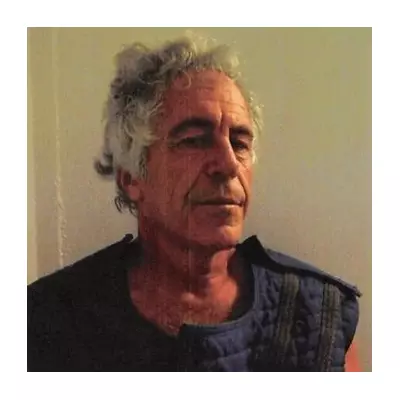 Epstein's Final Fear: New Files Reveal Jail Cell Terror Before Suicide