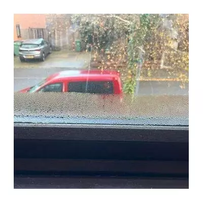 I Banished Window Condensation Overnight With One Simple Trick