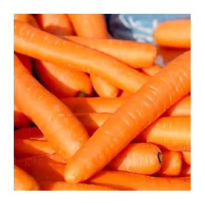 I Tried 3 Carrot Storage Methods: One Kept Them Fresh for 10 Days