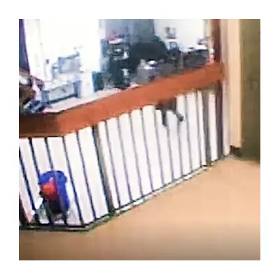 Jeffrey Epstein Death: The 'Missing Minute' & CCTV Mystery That Fuels Conspiracy