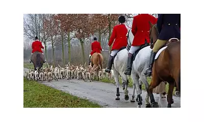 Labour Bans Trail Hunting in England and Wales as Part of Animal Welfare Strategy