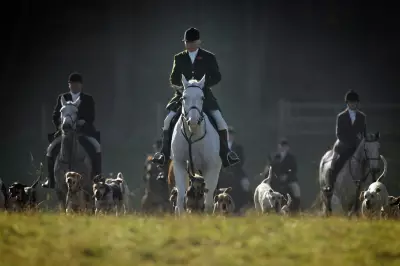 Labour's Trail Hunting Ban: Why Starmer is Outlawing the Countryside Practice