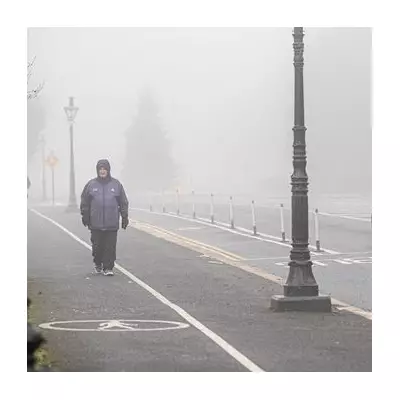 Met Office Warns of Rare Freezing Fog Risk on Christmas Day