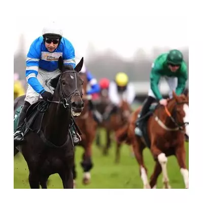 Newsboy's Wednesday Racing Tips: Kadastral Napped to Shine at Newbury