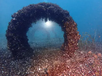 Quagga Mussels Invade Lake Geneva, Threaten Swiss Infrastructure and Ecology