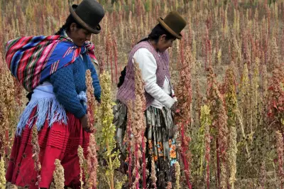 Quinoa: The 7,000-Year-Old Supergrain for Gut Health & Protein
