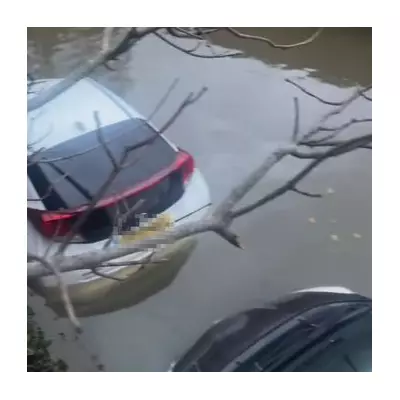 Seven Cars Submerged by Thames High Tide After Pub Parking