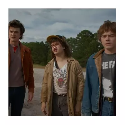 Stranger Things Fans Predict Heartbreaking Season 5 Fate for Steve Harrington