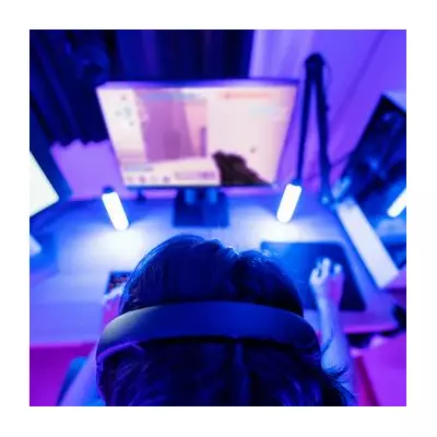 Streamer Completes 7 Zelda Games in 89-Hour No-Sleep Marathon