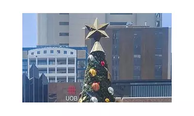Sydney's 'Happy Holidays' Christmas Tree Sparks Culture War Debate