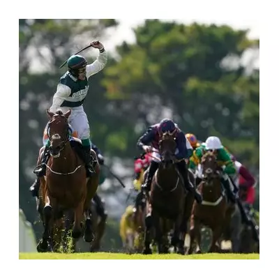 Tragic Loss: Galway Hurdle Winner Nurburgring Dies After Leopardstown Fall