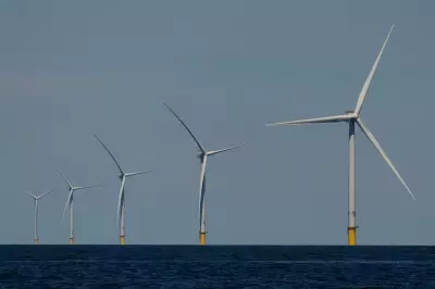 Trump Halts Five Major East Coast Offshore Wind Farms Over Security Fears