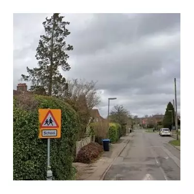 Two Teenagers Killed, One Critical After Tesla Crashes Into Tree in Surrey