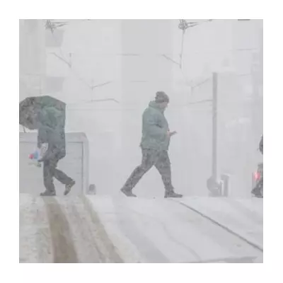 UK Braces for 14cm New Year's Day Snowstorm, Only SW England & Wales Spared