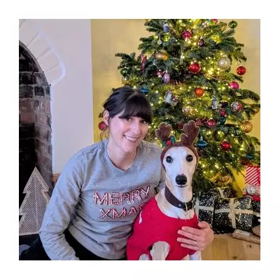 UK Dog Owners to Spend £293 Million on Canine Christmas Gifts