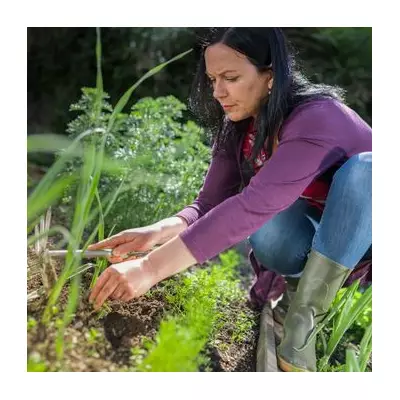 UK Homeowners Alert: Heavy Rain Spreads 'Highly Destructive' Garden Weeds