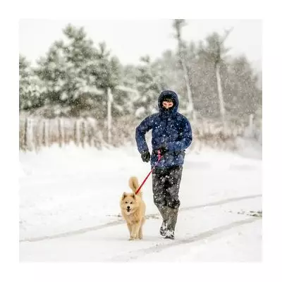 UK Snow Bomb Alert: 12-Hour Blizzard to Hit 11 English Counties on January 5
