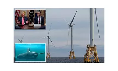 US Halts Five Major Offshore Wind Farms Over Defence Radar Fears