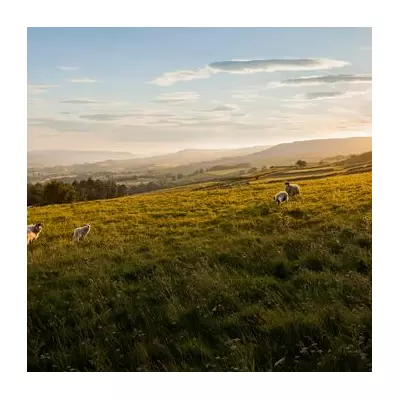Yorkshire's Wensleydale: A Food Lover's Dream with the 'Strangest Place' on Earth